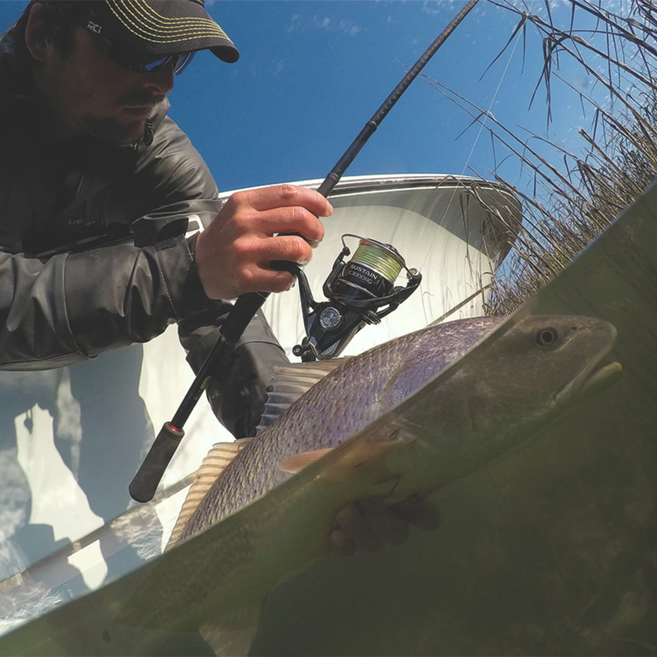 Shimano Sustain FI Spinning Reels 2 Shimano Sustain FI Spinning Reels - Image 2