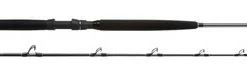 Shimano Terez BW Slick Butt Conventional Rods