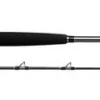 Shimano Terez BW Swordfish Rods