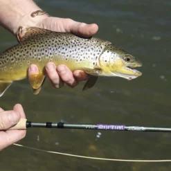 St. Croix Mojo Trout Fly Rods 9 St. Croix Mojo Trout Fly Rods -Marine Equipment & Accessories Sales Store st croix mojo trout fly rods 39565.1651292906