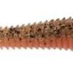 Strike King Saltwater Rage Swimmer -Marine Equipment & Accessories Sales Store strike king saltwater rage swimmer 24281.1680784606