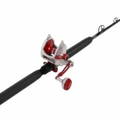 Accurate Valiant BV2-800 /TackleDirect Platinum Hook Standup Combo