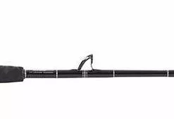 Penn International 30VISX / TackleDirect Platinum Hook Standup Combo 5 Penn International 30VISX / TackleDirect Platinum Hook Standup Combo -Marine Equipment & Accessories Sales Store tackledirect platinum hook tdps603050sin penn 30vsx standup combo 60292.1651325903