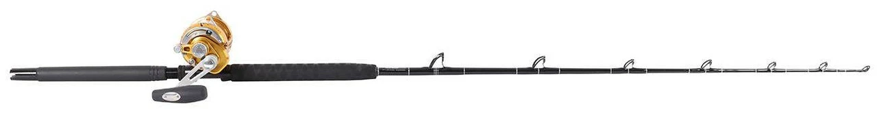 Penn International 30VISX / TackleDirect Platinum Hook Standup Combo 3 Penn International 30VISX / TackleDirect Platinum Hook Standup Combo - Image 3