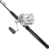 Avet EXW 50/2 LH Silver / TackleDirect Platinum Hook Standup Combo