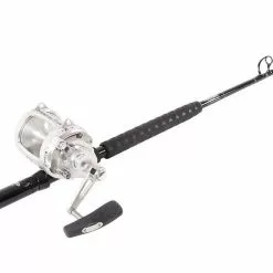 Penn International 50VISWS / TackleDirect Platinum Hook Standup Combo