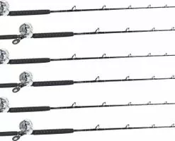 Shimano Talica TAC20BFC / TackleDirect Platinum Hook White Marlin Package W/ 6 Combos