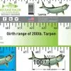 Tarpon Release Ruler