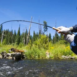 Thomas & Thomas Avantt Series Fly Rods -Marine Equipment & Accessories Sales Store thomas thomas avantt series fly rods 24051.1651330434