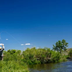 Thomas & Thomas Lotic Series Fly Rods -Marine Equipment & Accessories Sales Store thomas thomas lotic series fly rods 25489.1651330459