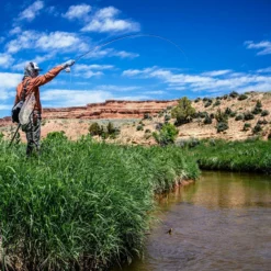 Thomas & Thomas Lotic Series Fly Rods -Marine Equipment & Accessories Sales Store thomas thomas lotic series fly rods 43205.1651330459