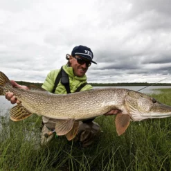 Thomas & Thomas Exocett Predator Fly Rod - 9 Ft. 4 In. - 45 Grain -Marine Equipment & Accessories Sales Store thomas thomas predator 94450 4 exocett predator fly rod 49198.1651330451