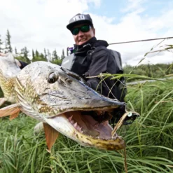 Thomas & Thomas Exocett Predator Fly Rod - 9 Ft. 4 In. - 45 Grain -Marine Equipment & Accessories Sales Store thomas thomas predator 94450 4 exocett predator fly rod 79039.1651330450