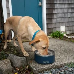 YETI Boomer Dog Bowls -Marine Equipment & Accessories Sales Store yeti boomer dog bowls 82133.1651346661